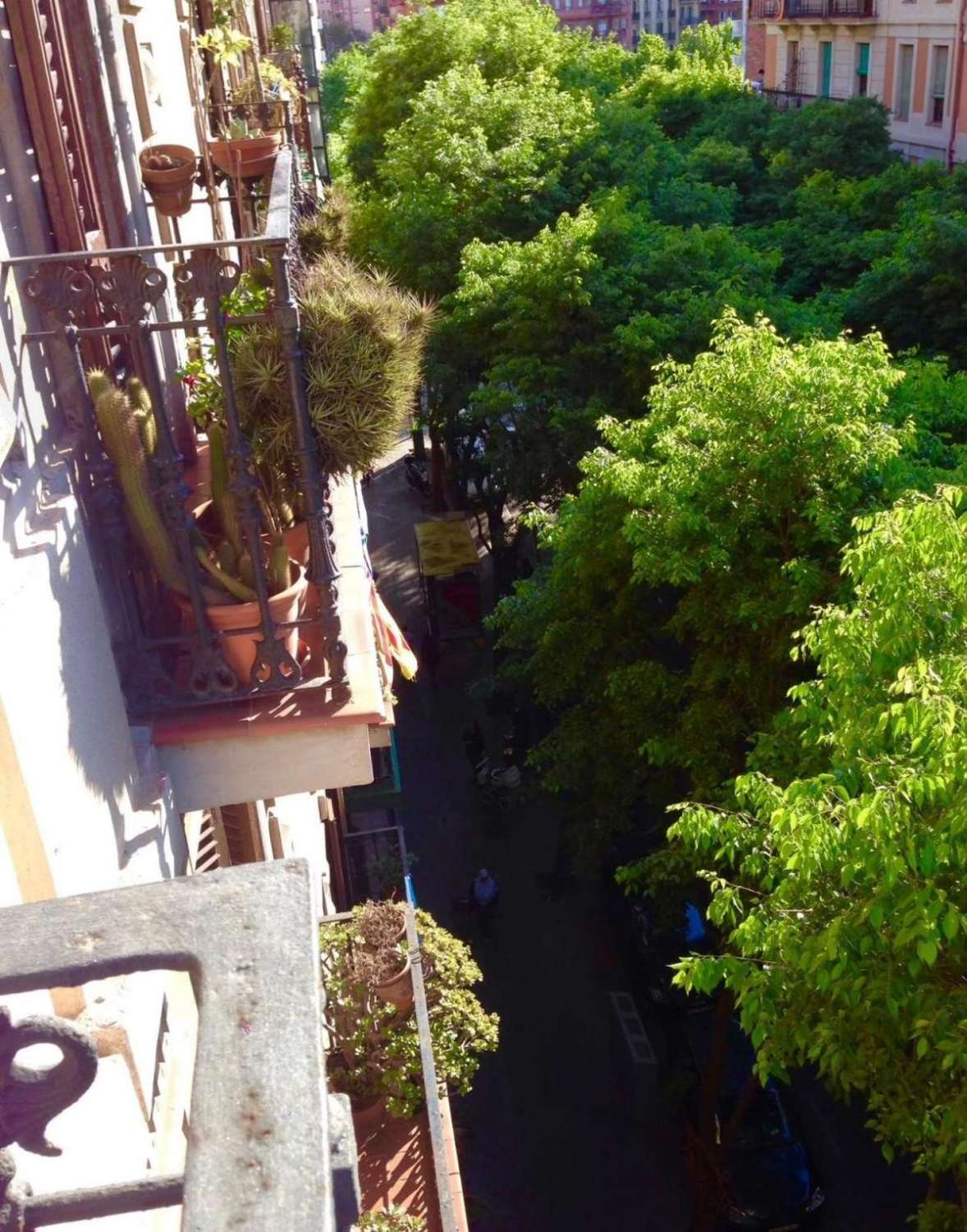 Piso Señorial en Eixample - Grácia