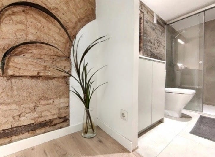 Apartamento Amplio Zona Gótic