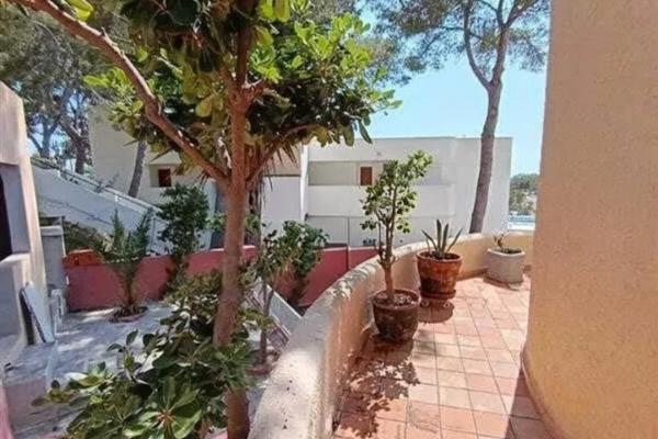 Chalet Unifamiliar Zona Premium de Calviá